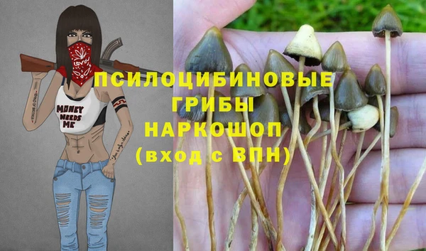амф Абдулино