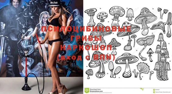 прущие крисы Алзамай