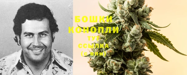ECSTASY Сатка