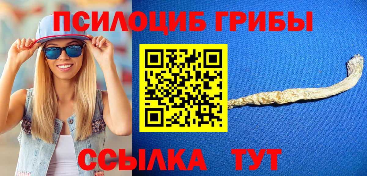Псилоцибиновые грибы Magic Shrooms Тутаев